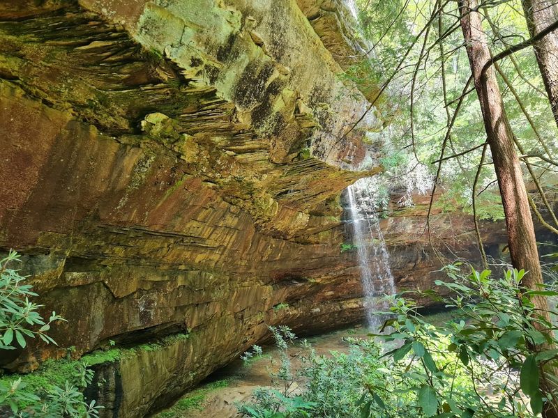 Rare Wildlife And The Creatures Living In This Compact Preserve