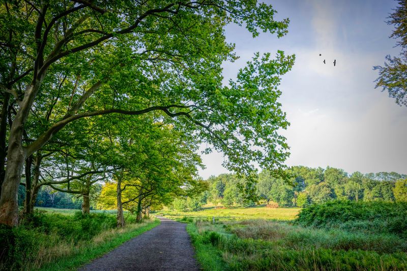 Why July Is The Magic Month
