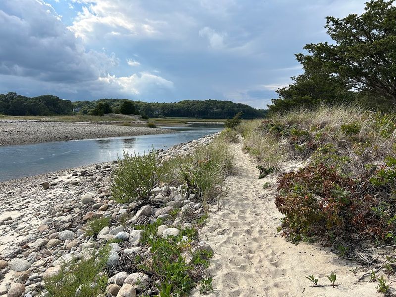 Poison Ivy, Rocky Shores, And Other Things To Prepare For