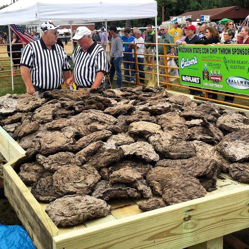 Wisconsin State Cow Chip Throw, Prairie Du Sac