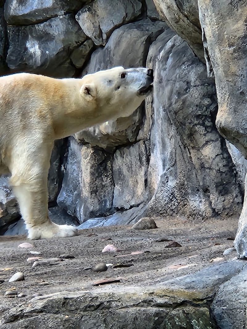 Seneca Park Zoo