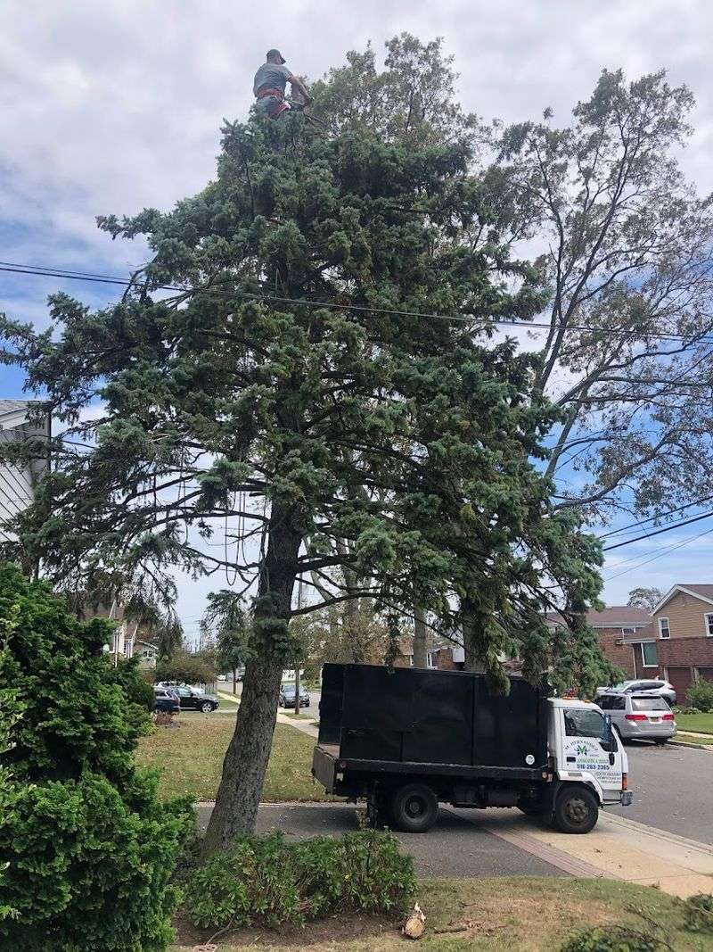 Mount Misery Road — West Hills, Huntington, Suffolk County, Long Island