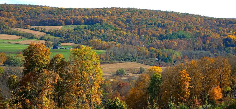 NY-44 Through The Harlem Valley — Millbrook To Amenia