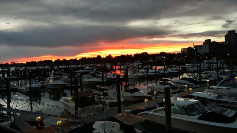 Alma Nove, Hingham