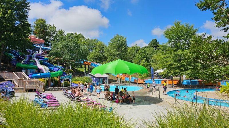 Family Friendly Picnic Areas