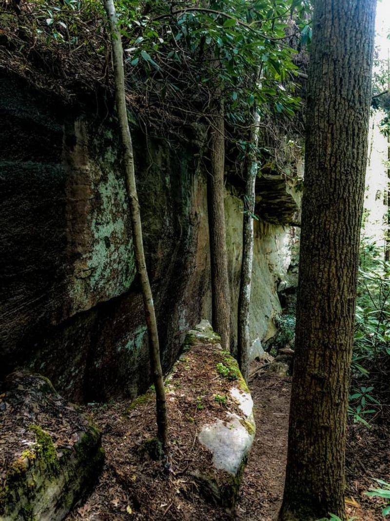 The Gorge Itself Is Worth The Walk