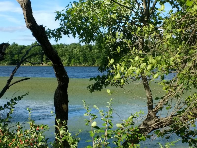 Green Spaces That Earn Their Keep