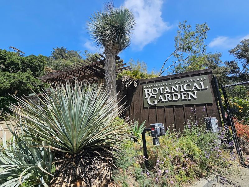 University Of California Botanical Garden