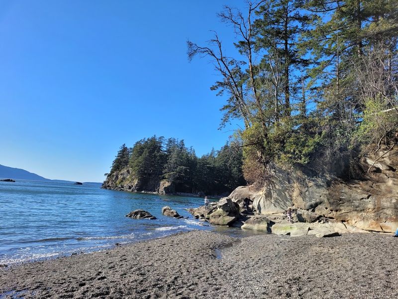 Larrabee State Park Wonders