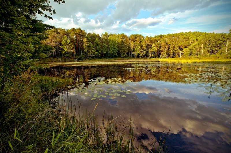 Otter River State Forest Campground, Baldwinville