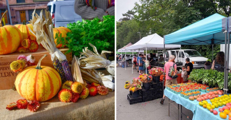 Saturdays In Connecticut Belong To This Farmers Market That Many Call The Finest In The Region