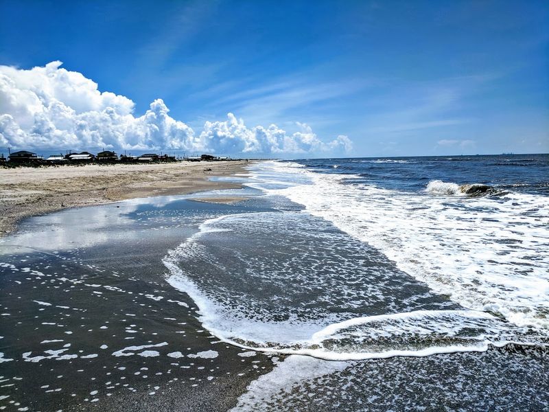 Wildlife Encounters Unique To Louisiana Shorelines