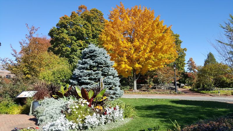 Year-Round Botanical Variety That Makes Every Visit Feel New