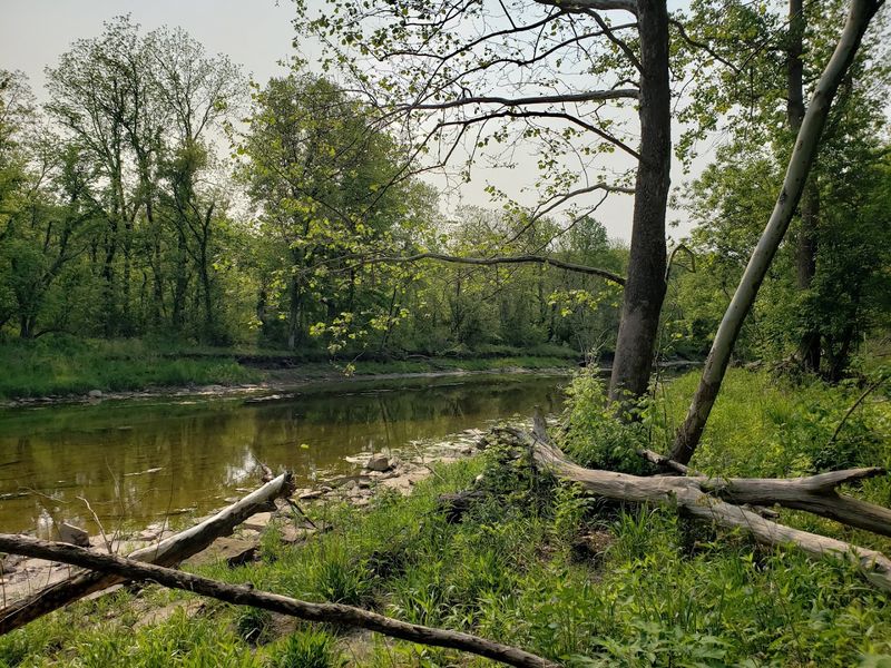 Local Wildlife And Natural Habitats To Explore