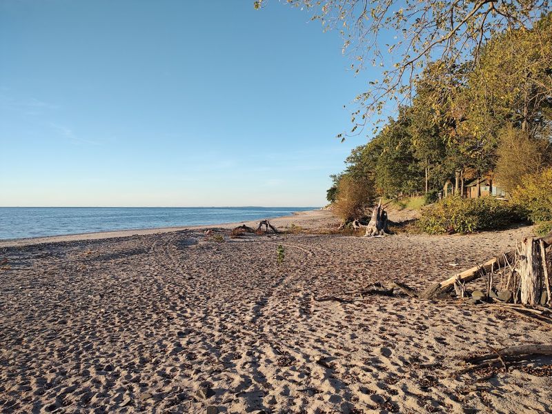 Wendt Beach Park