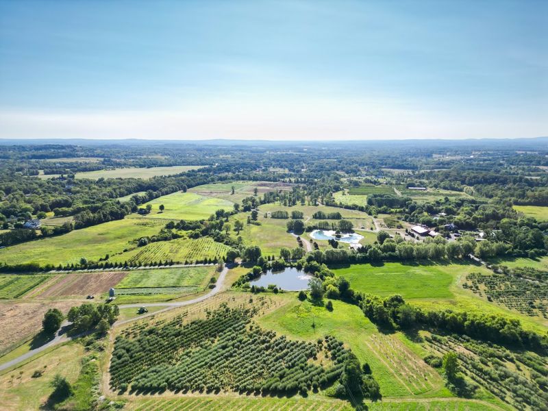 Tips For A Successful Fruit Picking Outing