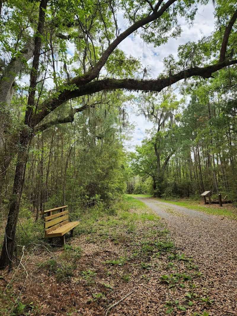 Trail Safety Tips And Best Practices