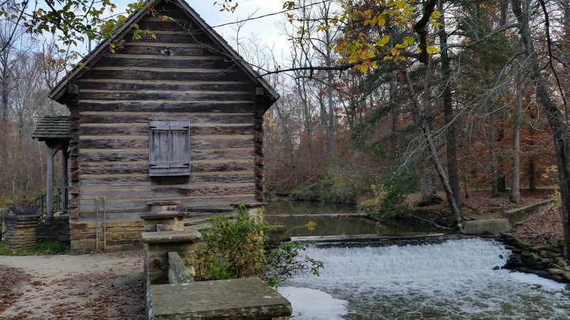 Wellness And Relaxation Opportunities