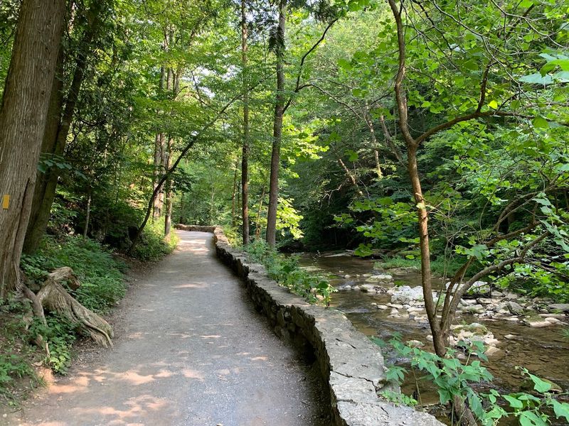 Picnic Areas And Family Friendly Amenities