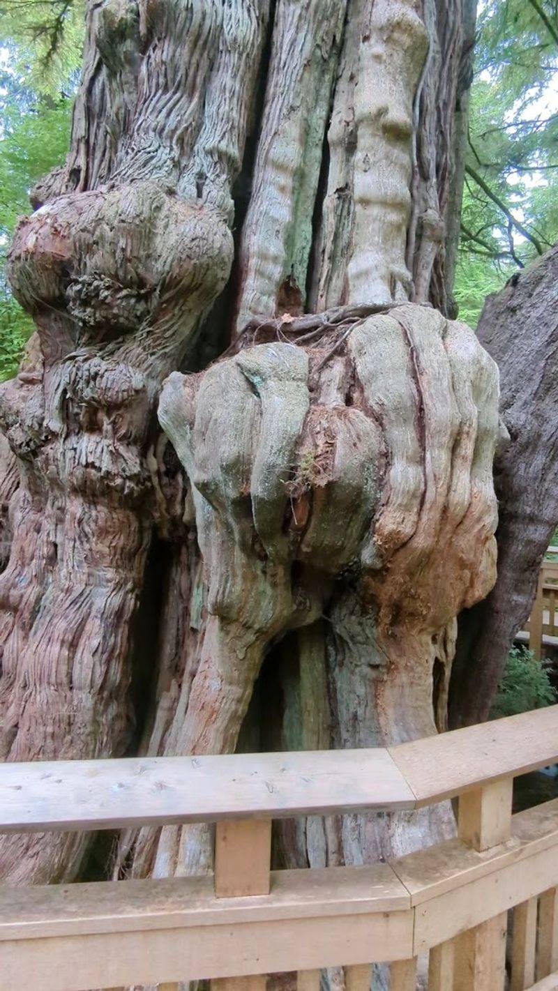 Conservation Efforts Protecting Trail Ecosystems