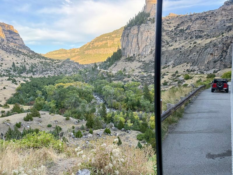 Best Times For Wildlife Spotting During The Drive