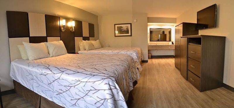 Budget Accommodation Options Available