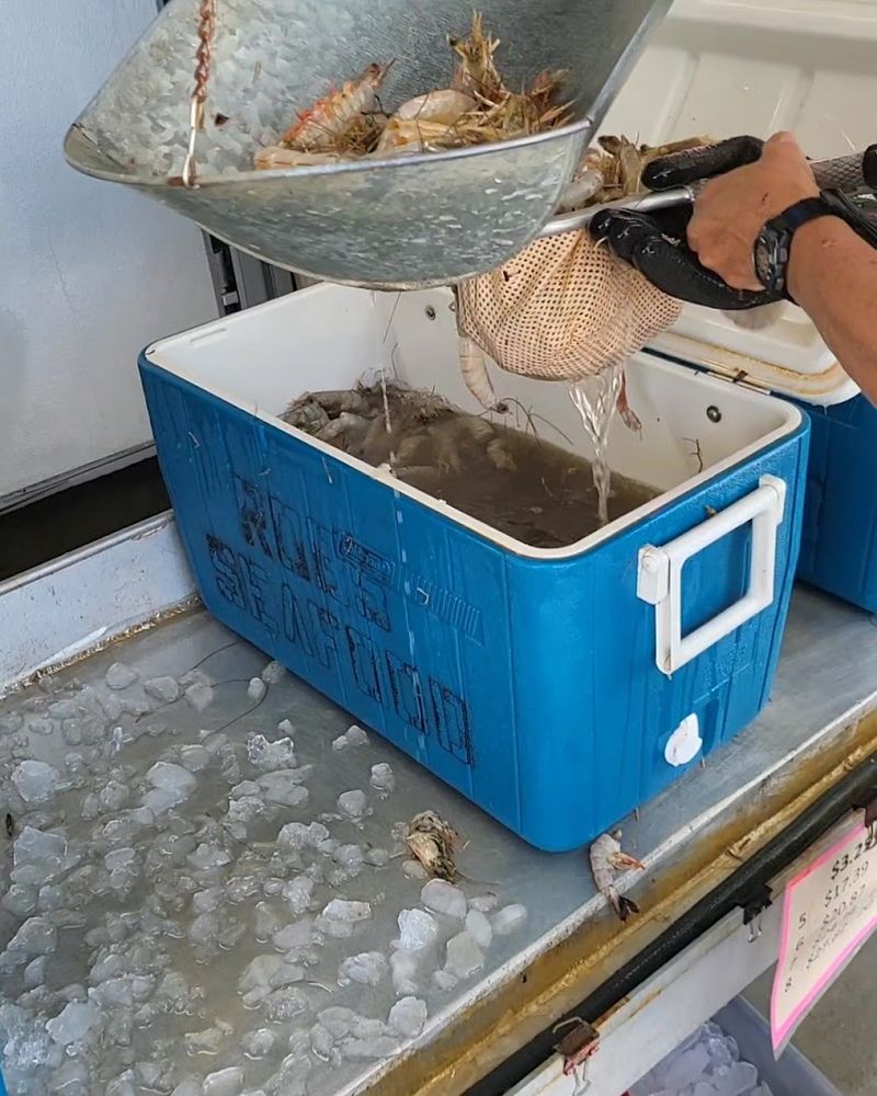 Local Fishermen Practices That Preserve Flavor