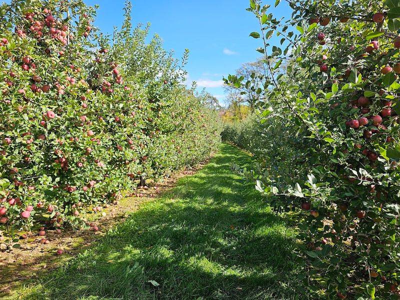 Farm Practices That Ensure Sustainable Produce