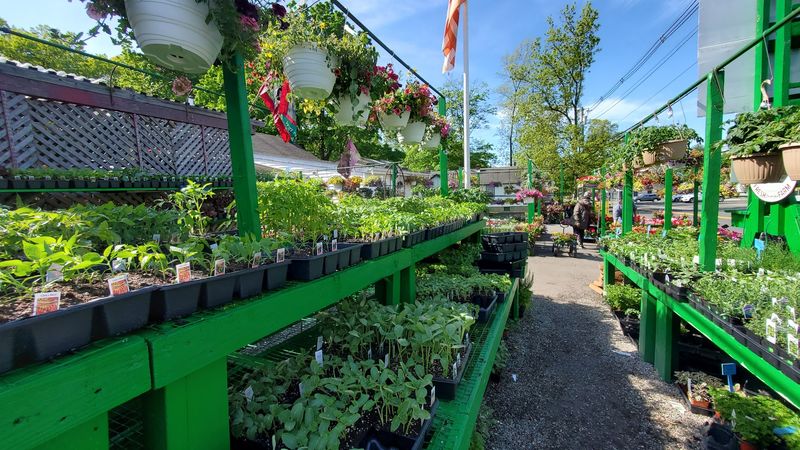 Sustainable Farming Practices For Quality Produce