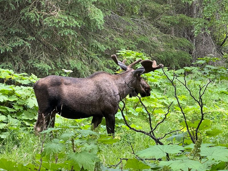 Wildlife Sightings You Can Expect Along The Path
