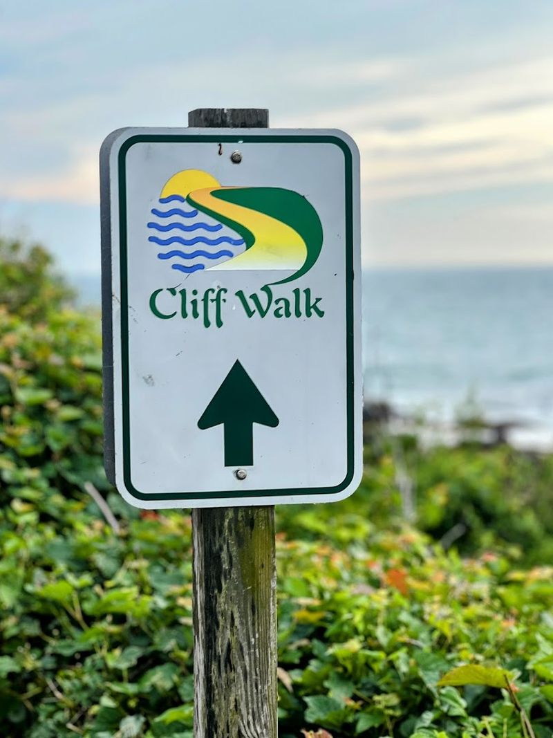 Trail Accessibility For All Fitness Levels