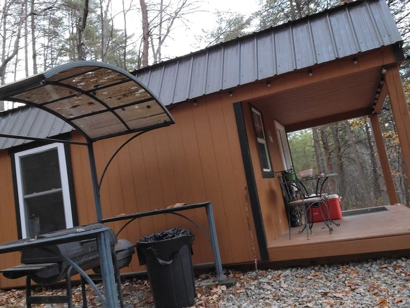 Cabin Options From Off-Grid To Fully Comfortable