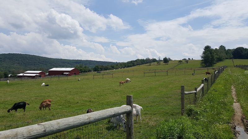 The Finger Lakes Region Makes This Trip Even Better