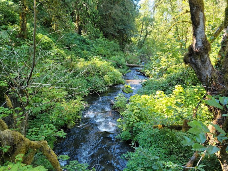 Wildlife Viewing Opportunities