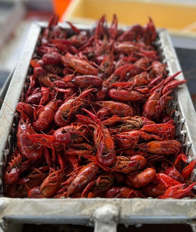 A Seafood Run Worth Making