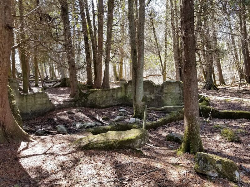 Limestone Ledges Hint At The Park's Quarry Past
