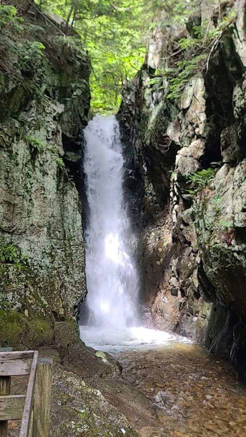 The Falls Of Song Finale Worth Every Step