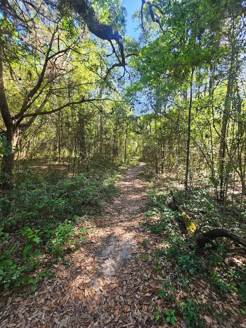 Twelve Oaks Nature Trail