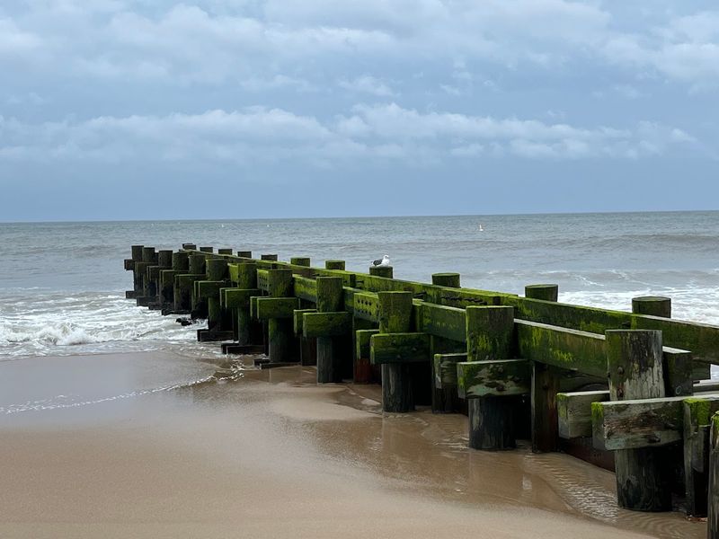 The Beach Access Is Effortless