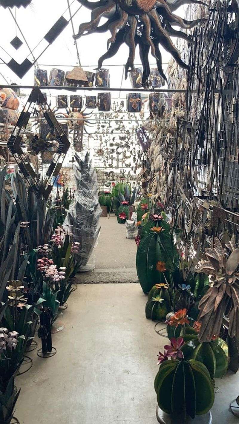 Plants, Cacti, and the Outdoors Section