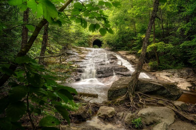 Why This Short Hike Leaves A Lasting Impression