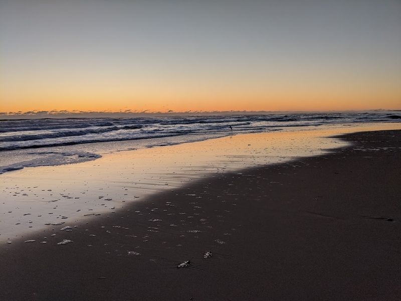 Plum Island Beach, Newburyport