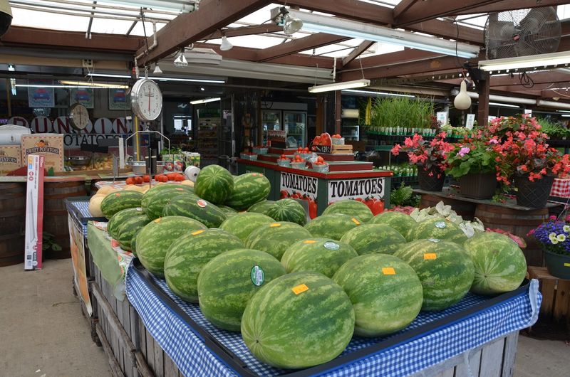 The Watermelon Guarantee That Started It All