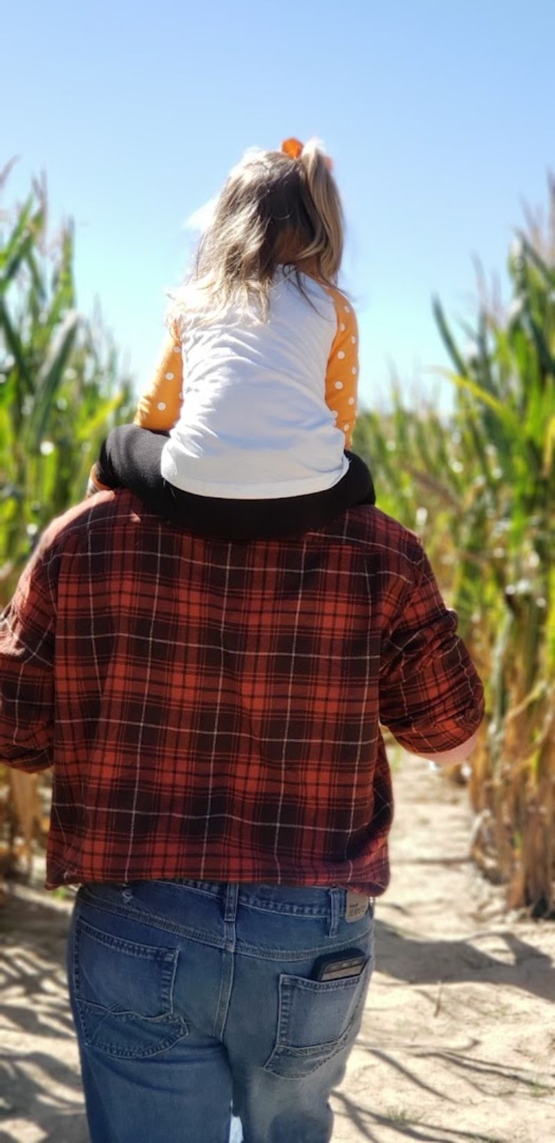 The Corn Maze That Earns Its Reputation
