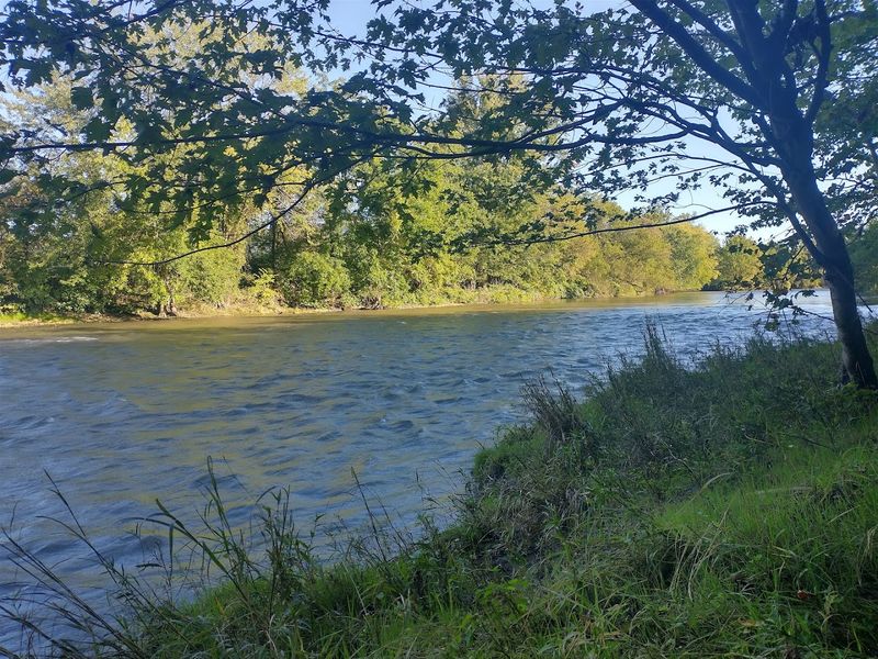 Schoharie Creek 