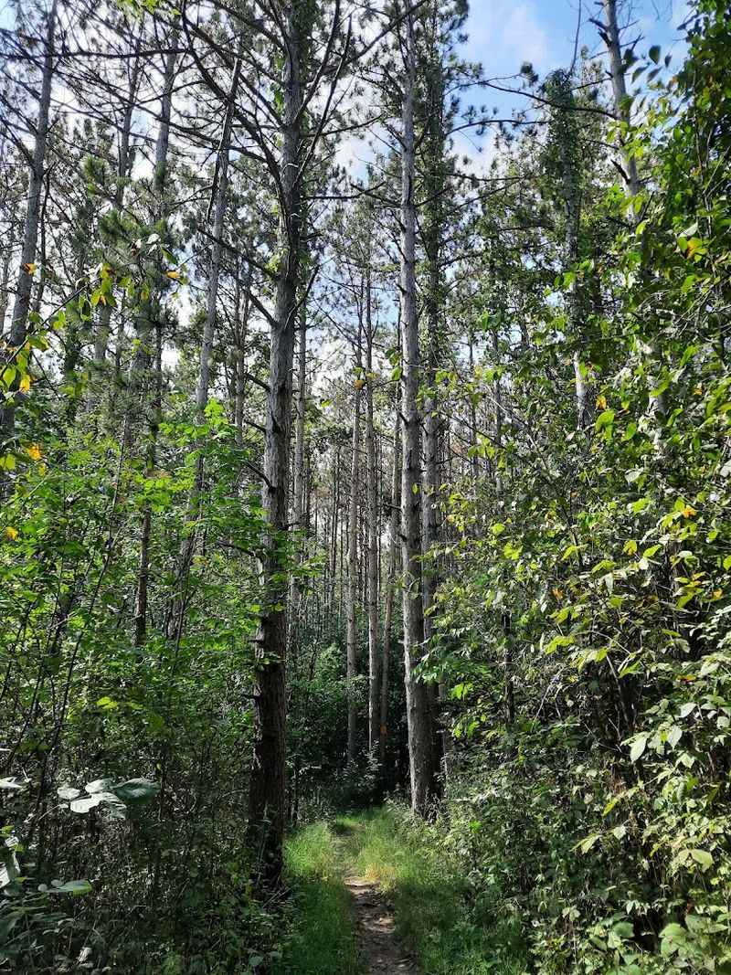 The Property Also Has More Than 12 Miles Of Trails