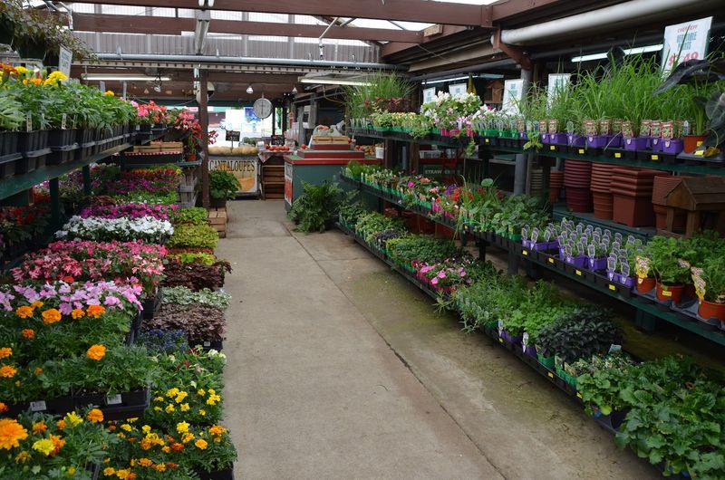 Plants, Seeds, And Landscaping Supplies For Every Season