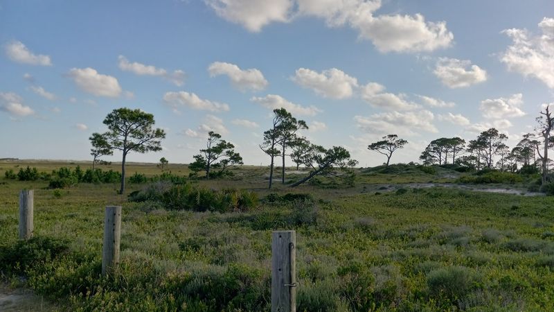Bon Secour Wildlife Refuge