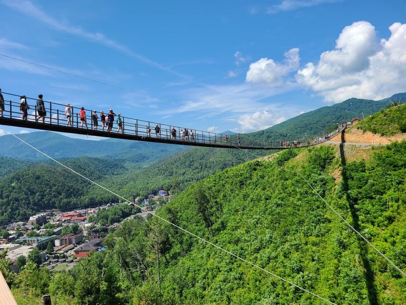 Walk Across The Gatlinburg SkyBridge