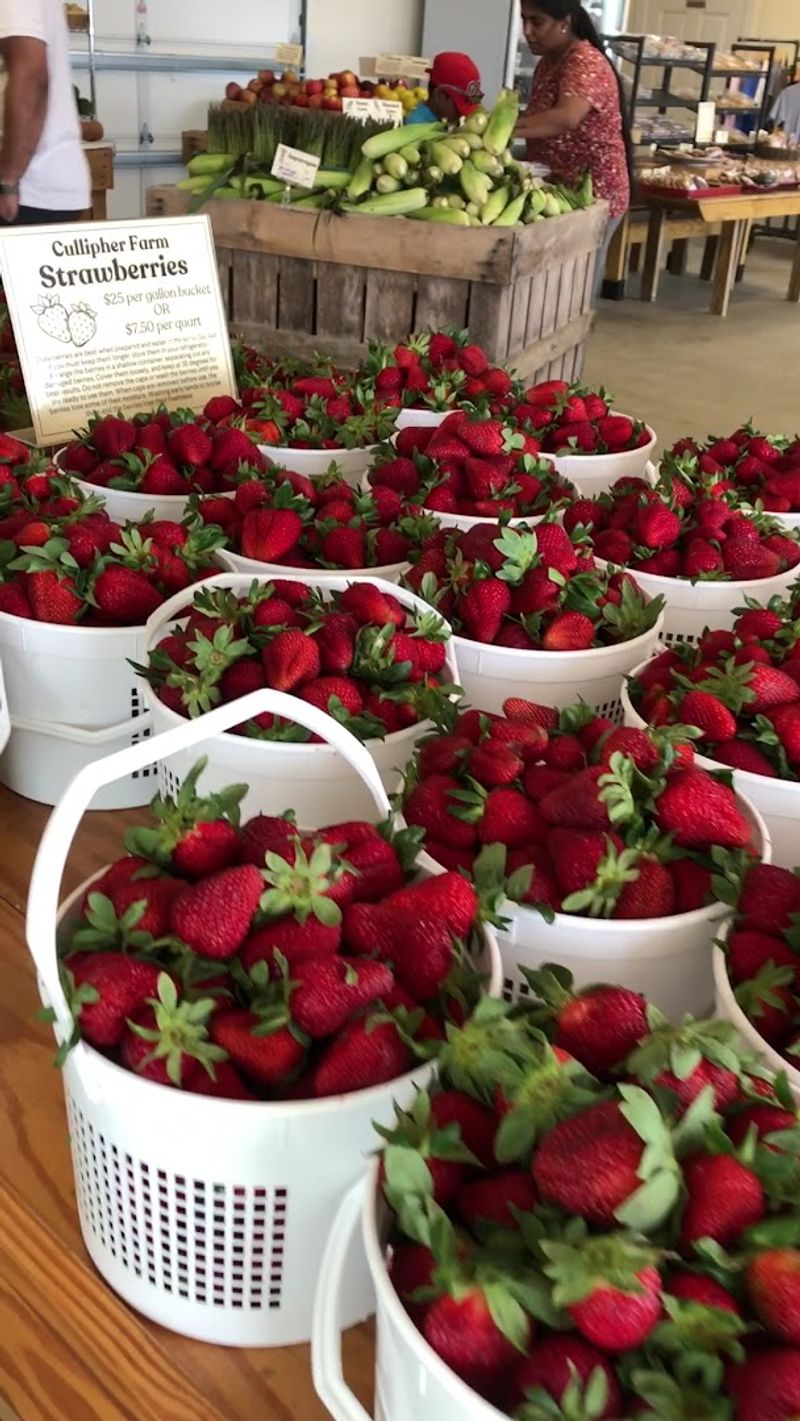 Strawberry Varieties Available For Picking